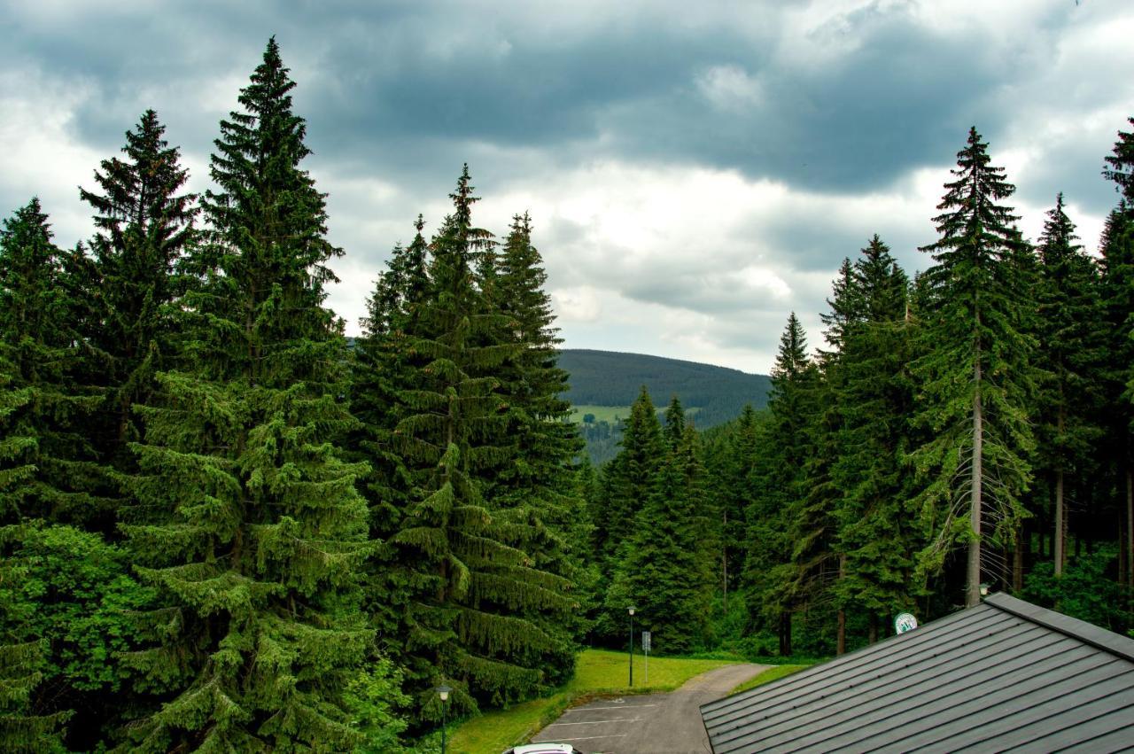 Ve Skiresortu Poustevnik - Apartment *
